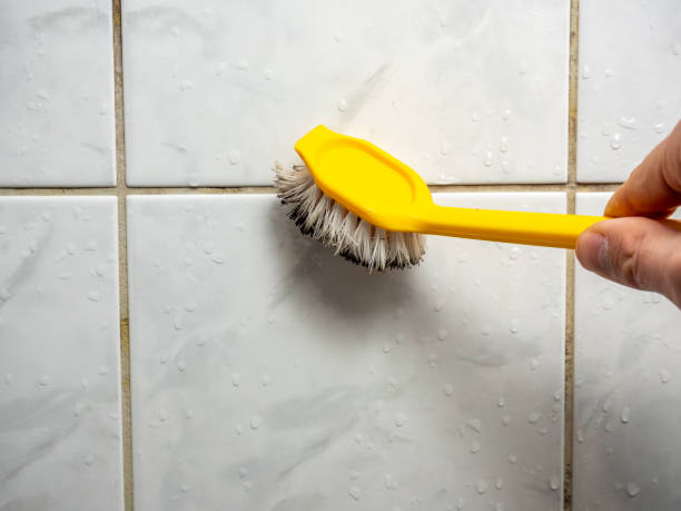 Reliable East Rockingham, NC Mold Removal Solutions